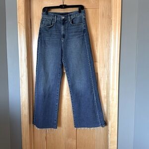Joe’s Jeans, Mia Wide Leg Jean, high waisted, size 29